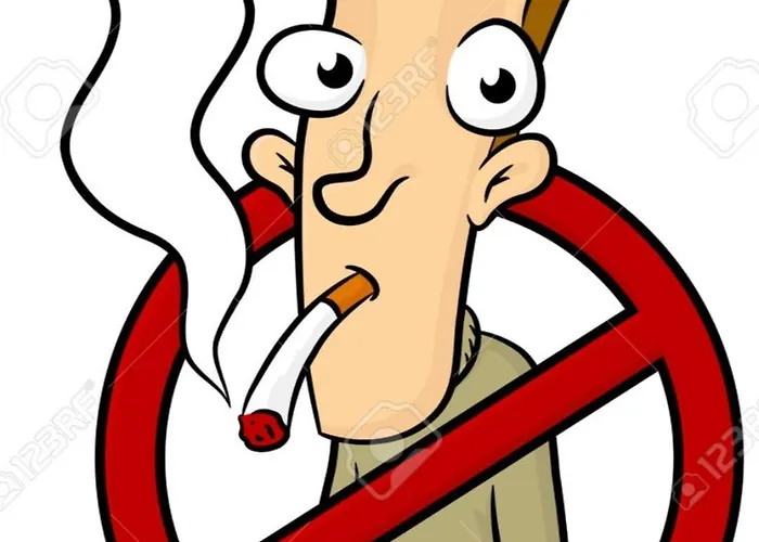 شقة 